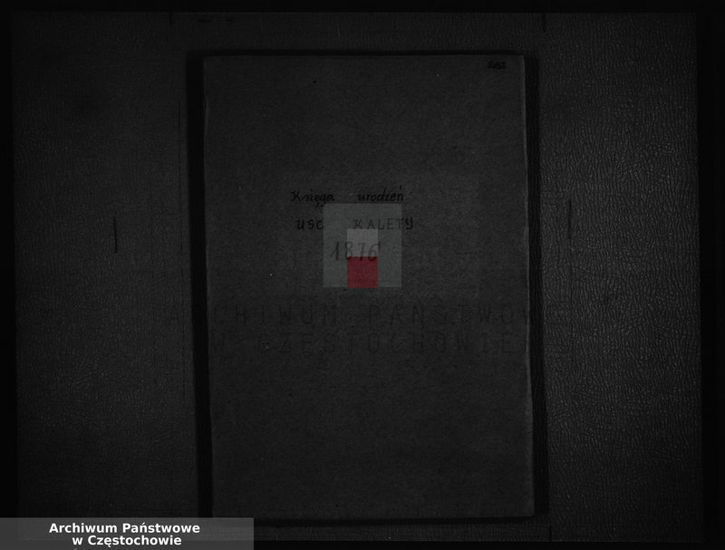 image.from.unit.number "[Księga aktów urodzeń z 1876 roku]"