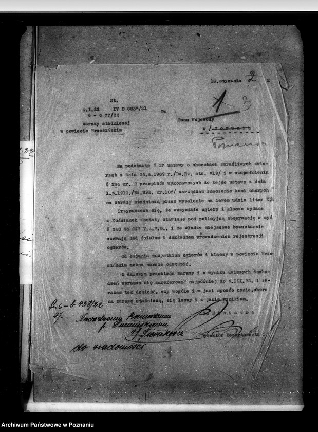 Obraz 8 z jednostki "Zaraza stadnicza"