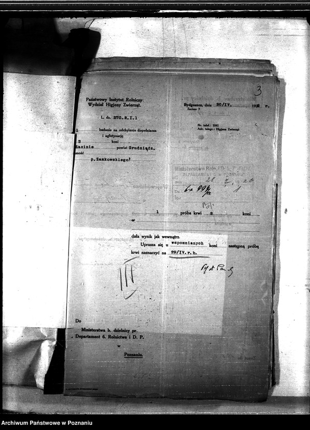 Obraz 7 z jednostki "Nosacizna - Grudziądz"