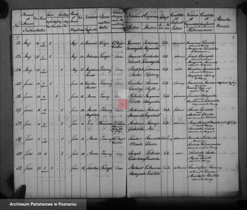 image.from.unit.number "Duplikat der Gebornen"