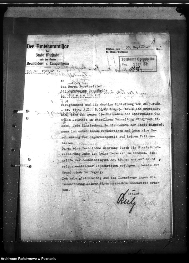 Obraz 5 z jednostki "Zarządzanie i gospodarowanie lasami gminnymi"