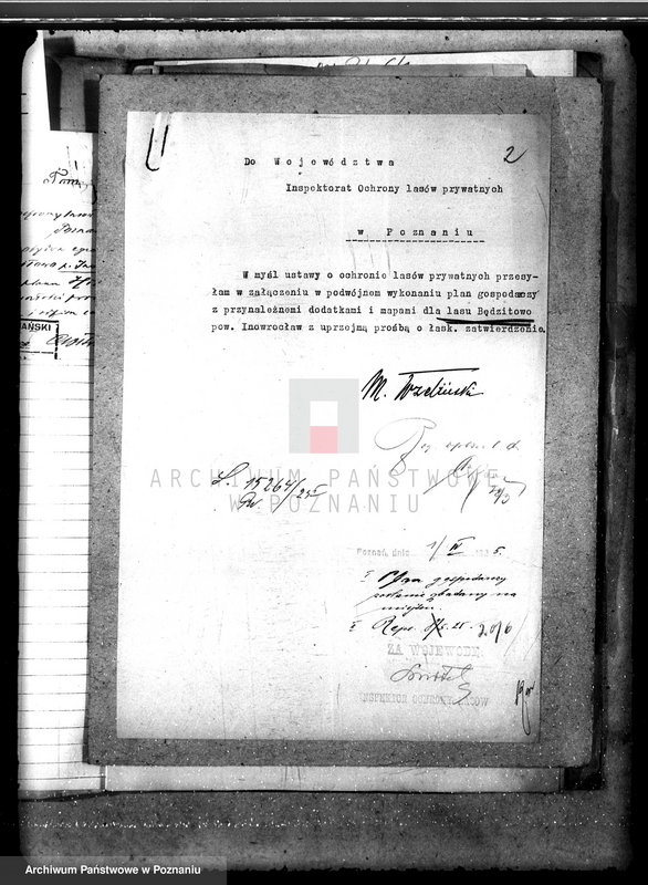 Obraz 6 z jednostki "Majętność leśna Będziłowo powiat inowrocławski"