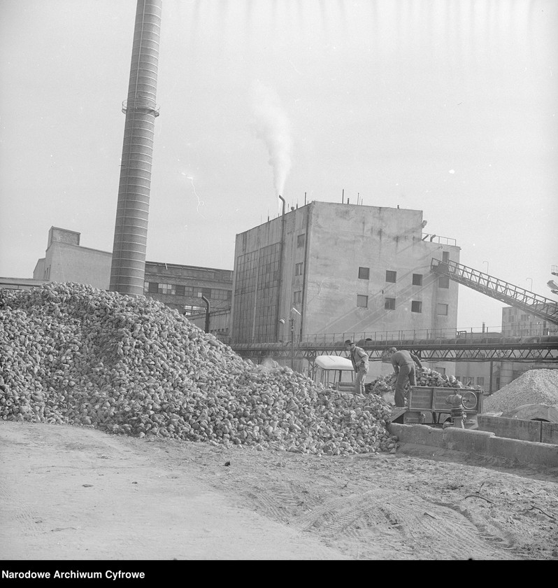 Obraz 4 z jednostki "Cukrownia "Michałów" w Lesznie koło Warszawy"