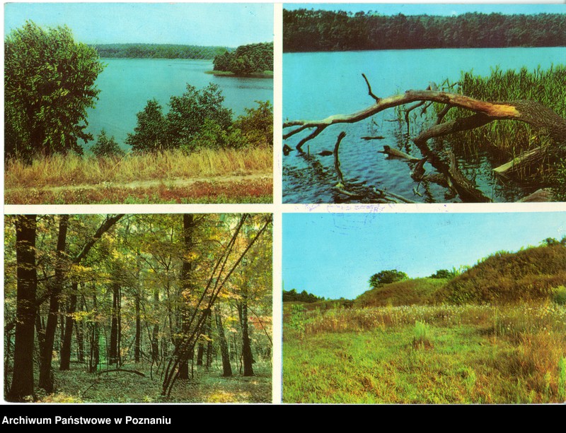 Obraz 1 z jednostki "Wielkopolski Park Narodowy - Jezioro Dymaczewskie, las grabowy nad Jeziorem Góreckim, Ozy zwane Szwedzkimi Górami"