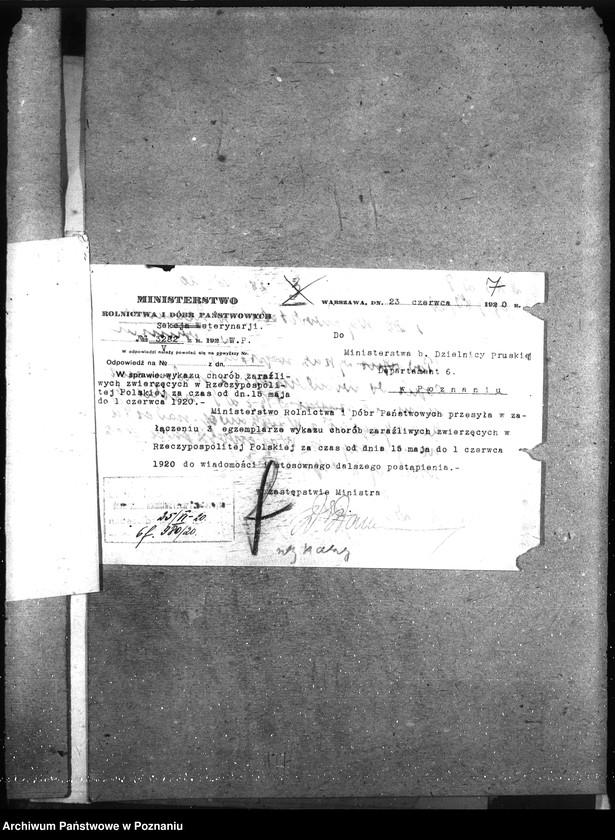 Obraz 11 z jednostki "Wykaz chorób zwierzęcych zaraźliwych w Rzeczypospolitej Polskiej"