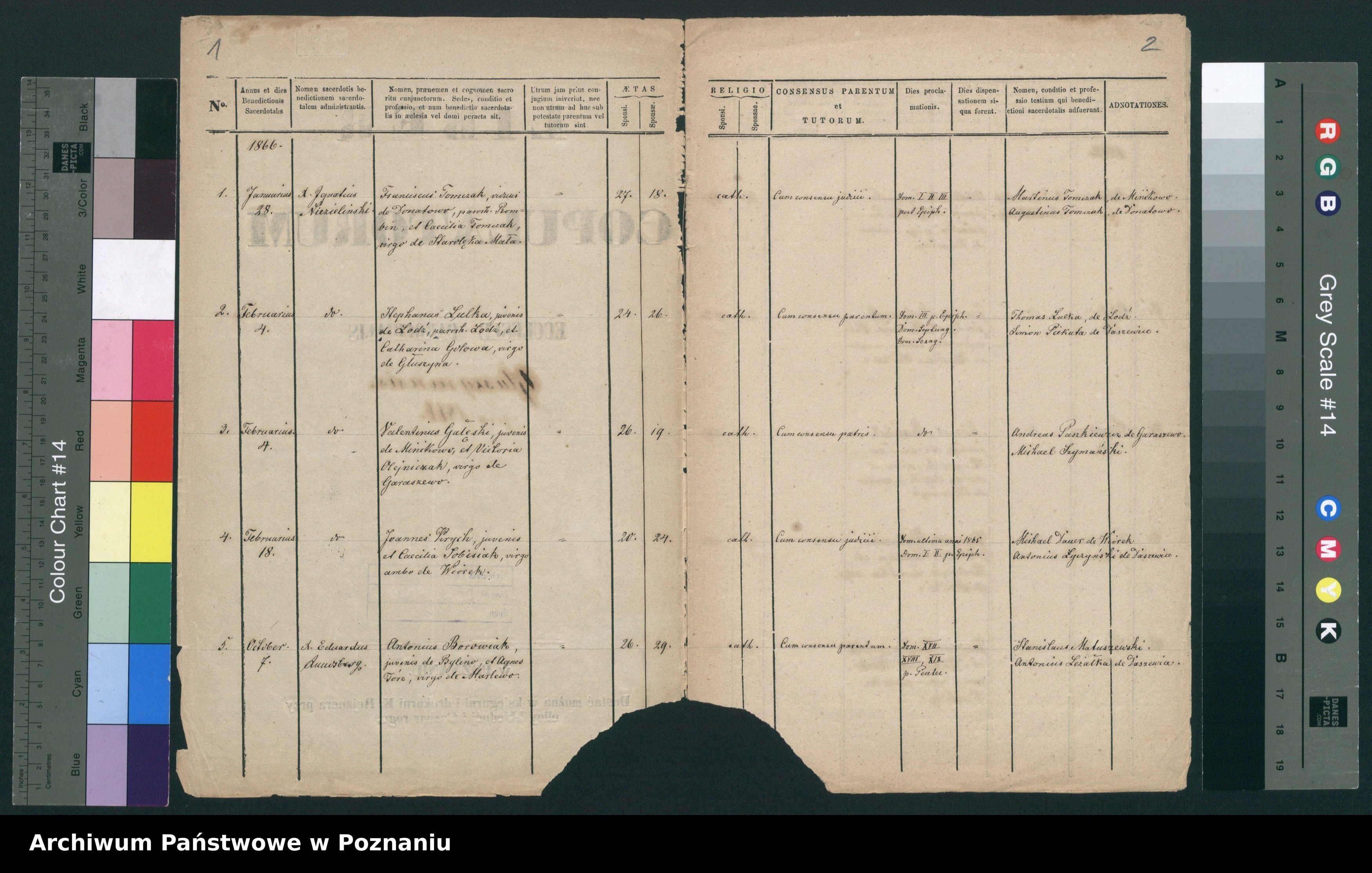 Skan z jednostki: Duplicat copulatorum