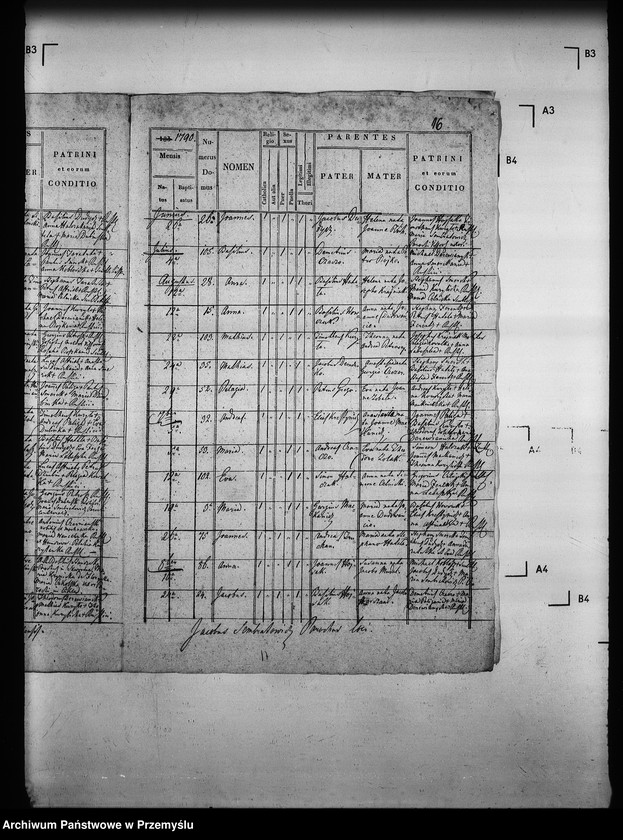 Obraz 20 z jednostki "[Kopie ksiąg metrykalnych parafii Wysowa z filią Blechnarka (dekanat Gorlice)]"