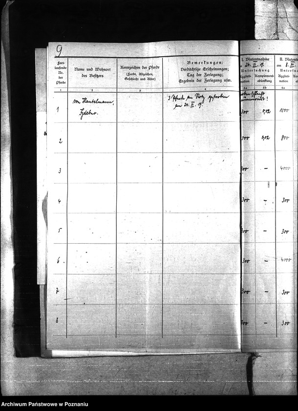 Obraz 13 z jednostki "Nosacizna - Międzychód"