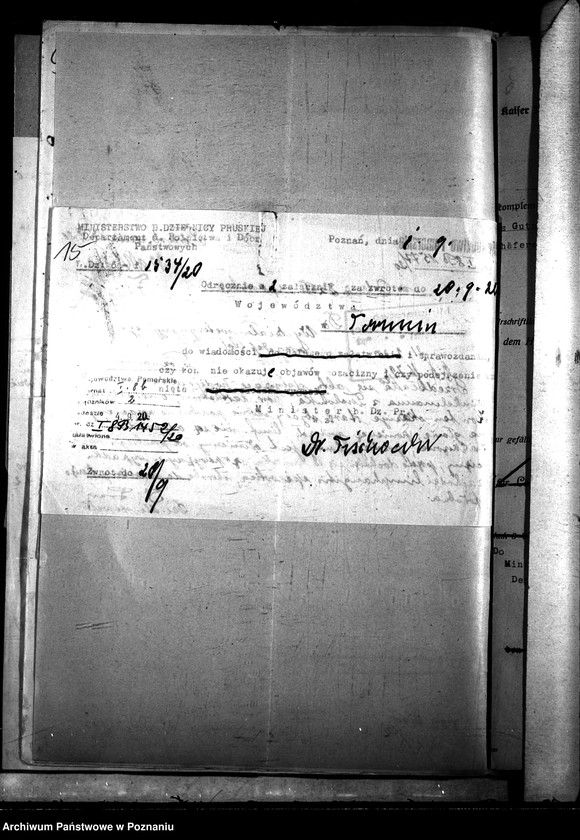 Obraz 19 z jednostki "Nosacizna - Kartuzy"