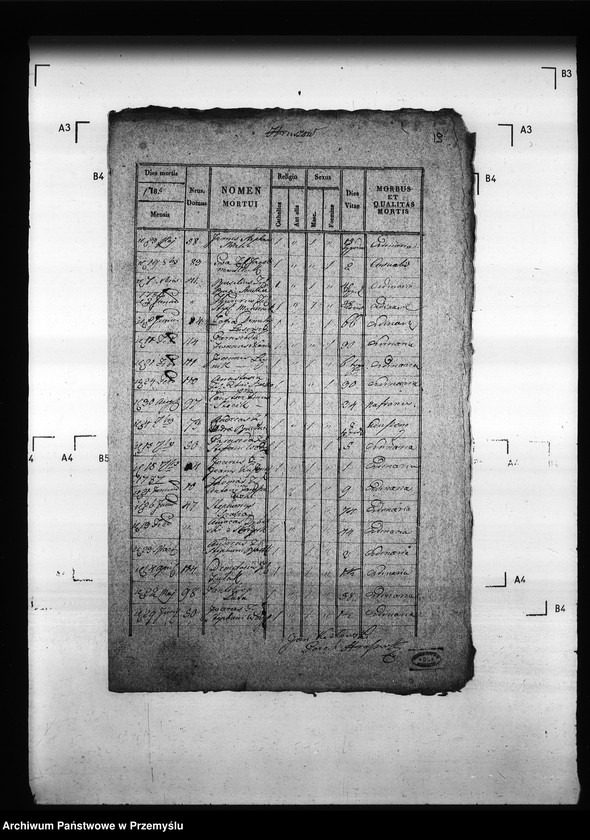 Obraz 17 z jednostki "[Kopie ksiąg metrykalnych parafii Hruszów z filiami Budomierz, Kłonice, Szczepłoty (dekanat Niemirów)]"