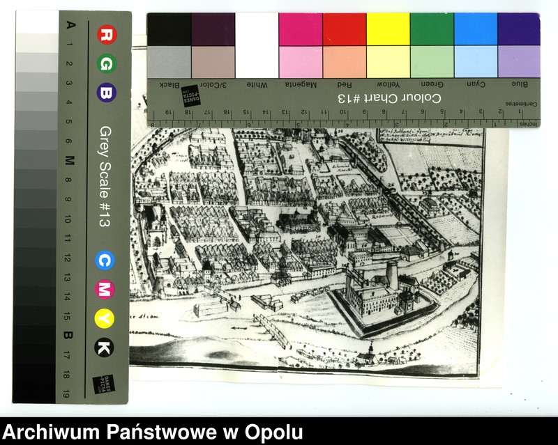 Obraz 18 z jednostki "[Fotografie rycin z publikacji Friedricha Bernharda Wernhera (Wernera)]"