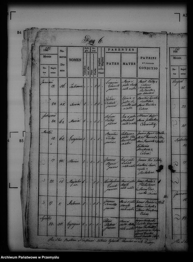 Obraz 10 z jednostki "[Kopie ksiąg metrykalnych parafii Puławy (dekanat Buków)]"