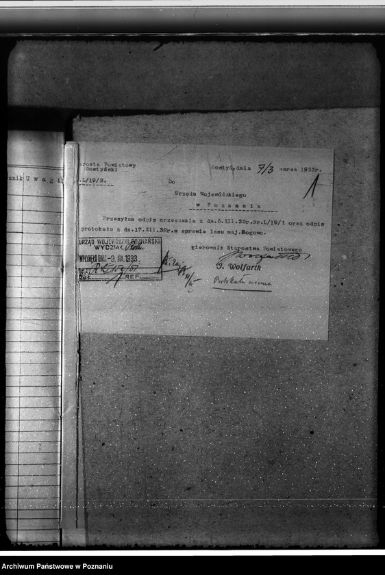 Obraz 5 z jednostki "Nadzór nad gospodarką w lasach majętności Rogowo w powiecie gostyńskim"