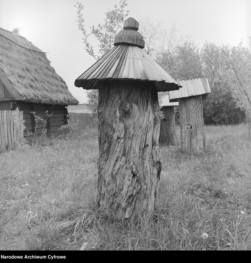image.from.collection.number "Bartnictwo że Ho! Ho!111"
