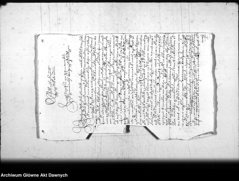 image.from.team "Archiwum Platerów z Antuzowa"