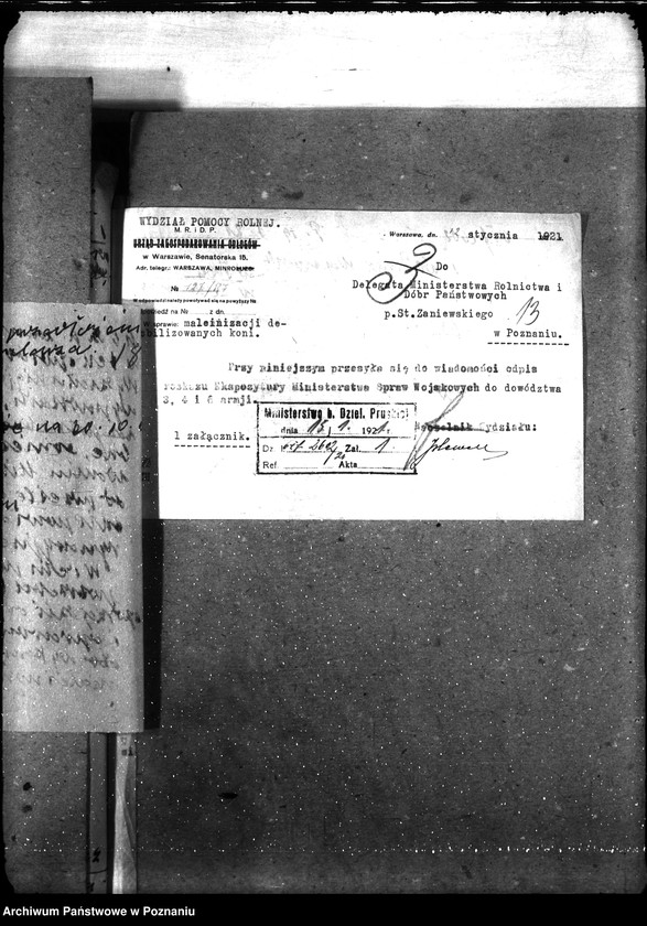 Obraz 16 z jednostki "Sprawy ogólne Nosacizna"