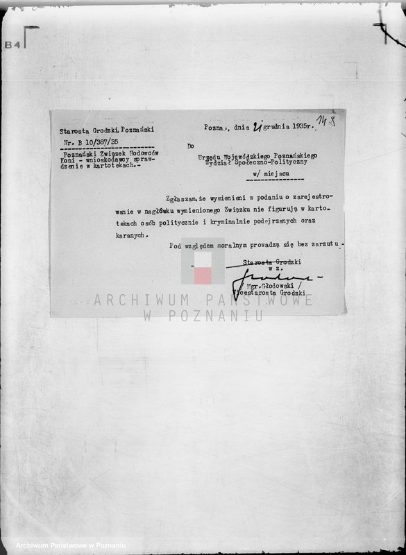 Obraz 18 z jednostki "/Poznański Związek Hodowców Koni w Poznaniu/"