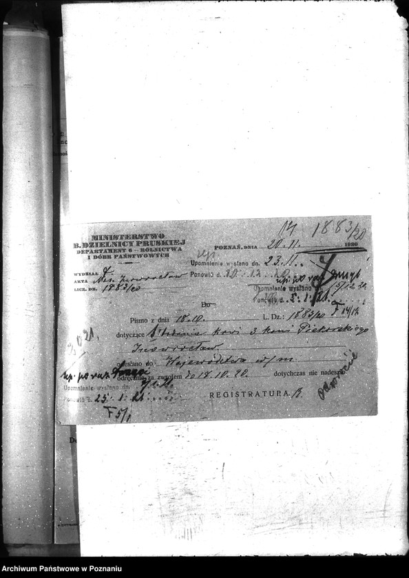 Obraz 19 z jednostki "Nosacizna - Inowrocław"