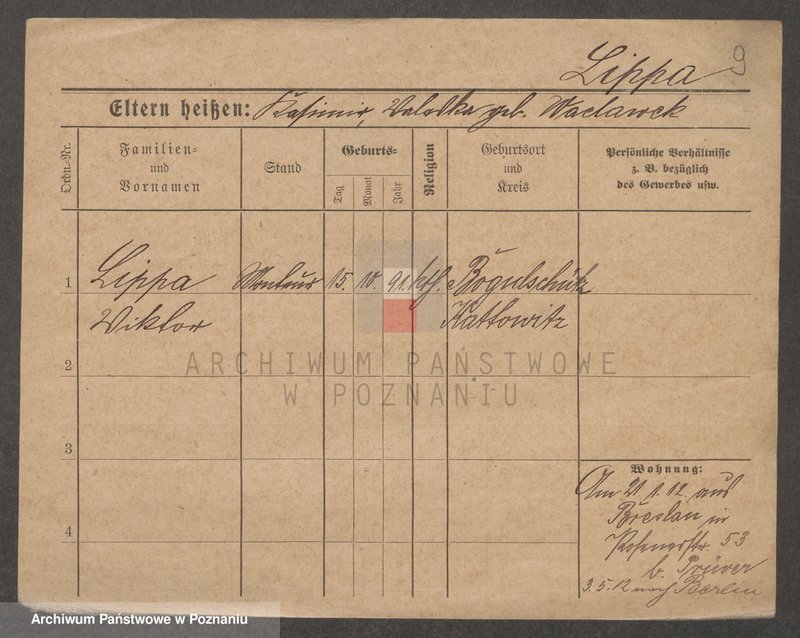 Obraz 9 z jednostki "Lip - Lipinski"