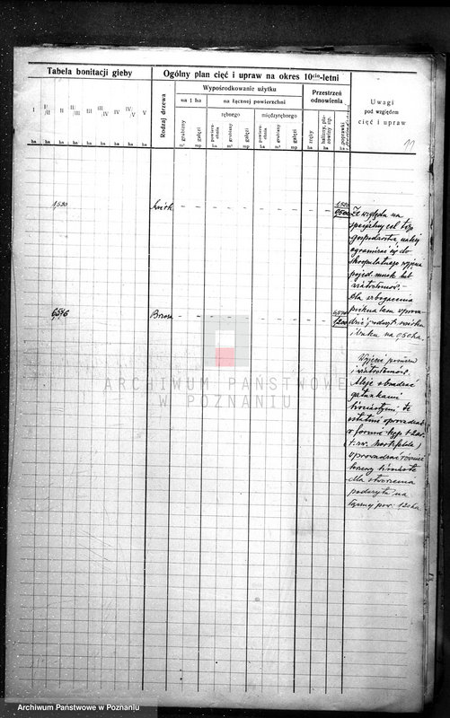Obraz 15 z jednostki "Plan urządzania gospodarstwa leśnego dla gminy miasta Czarnkowa"