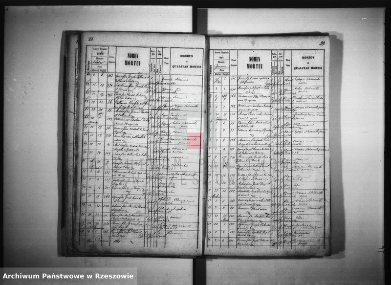 image.from.unit.number "Księga zgonów - Giedlarowa"