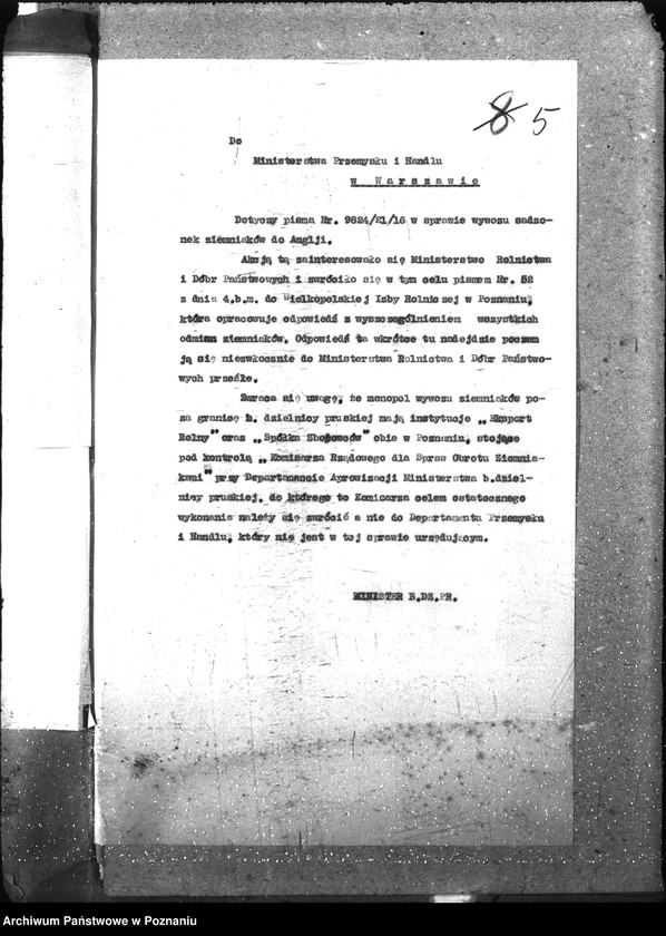 Obraz 9 z jednostki "Ziemiopłody"