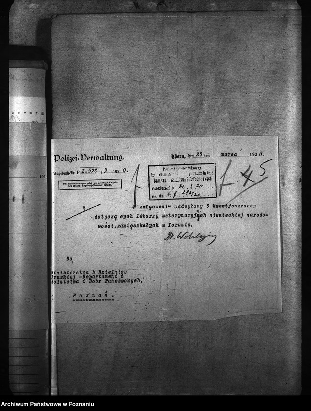 Obraz 9 z jednostki "[weterynarze narodowości niemieckiej]"