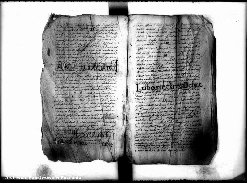 Obraz 4 z jednostki "Inscriptiones [inducta]"