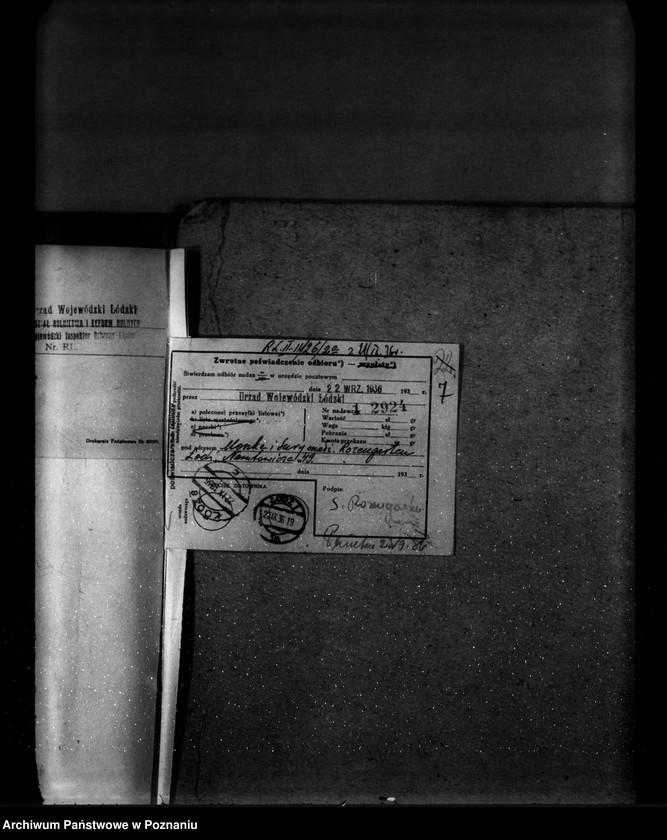 Obraz 11 z jednostki "Parcele leśne p.n.,,Ewelin" gmina Niewiesz powiat turecki"