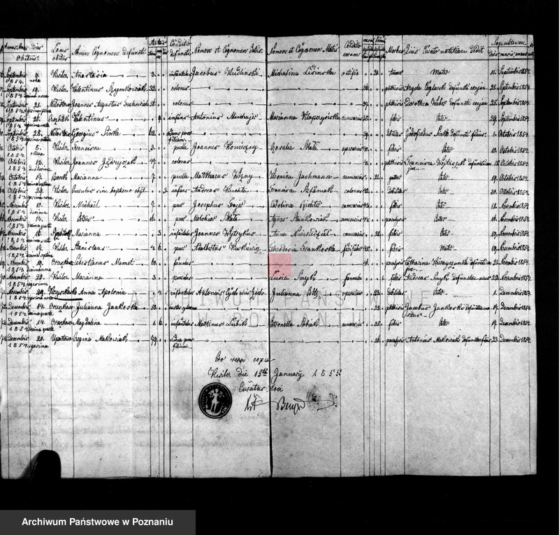 Obraz 10 z jednostki "Liber baptisatorum, copulatorum et mortuorum"