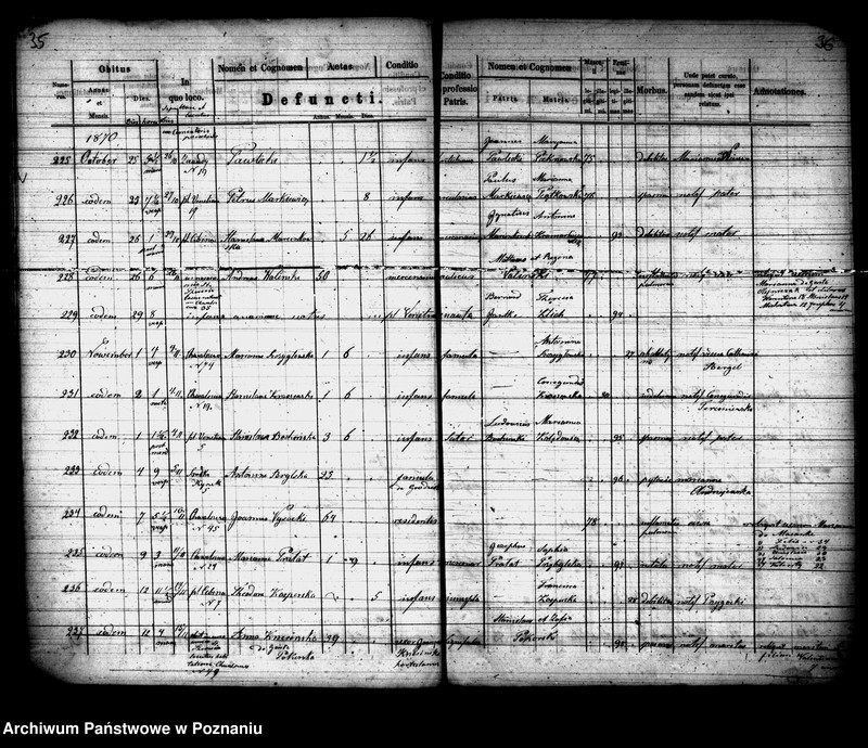 Obraz 19 z jednostki "Księga zgonów"