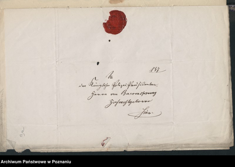 Obraz 13 z jednostki "A. betr. Boleslaus von Kościelski /auch Ludwig, Anton und Adam/"