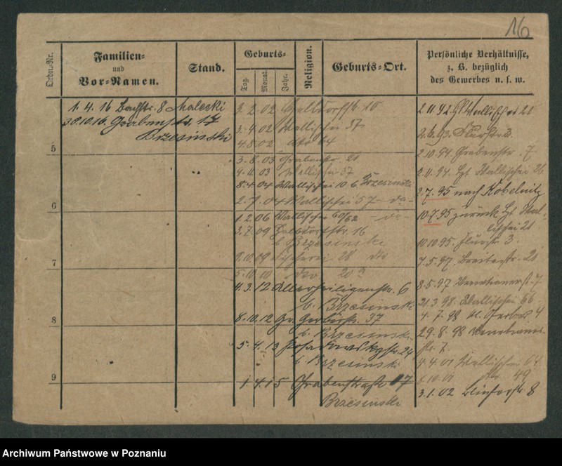 Obraz 18 z jednostki "Matecki - Matews"