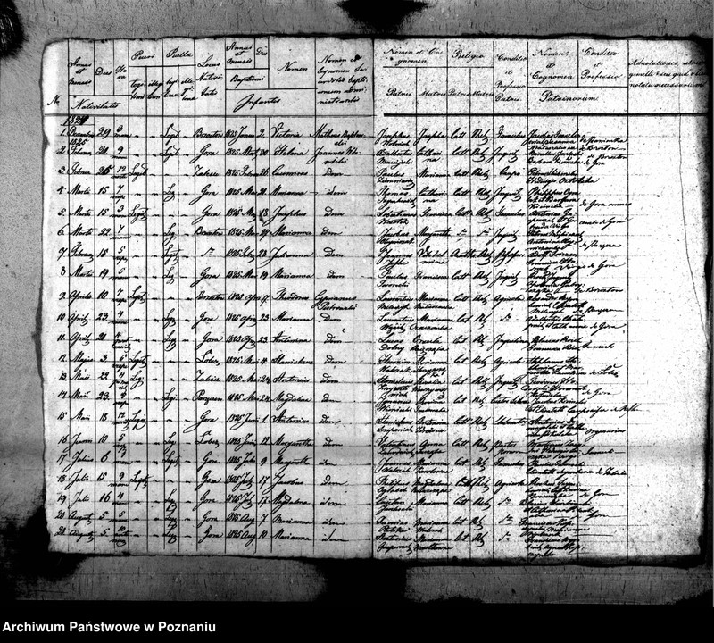 Obraz 11 z jednostki "Liber baptisatorum, copulatorum, mortuorum"