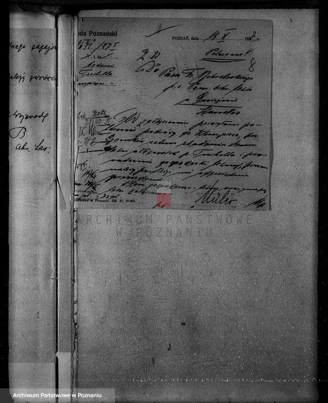 Obraz 12 z jednostki "Nadzór nad lasami/ majątku Klempicz powiatu czarnkowskiego"