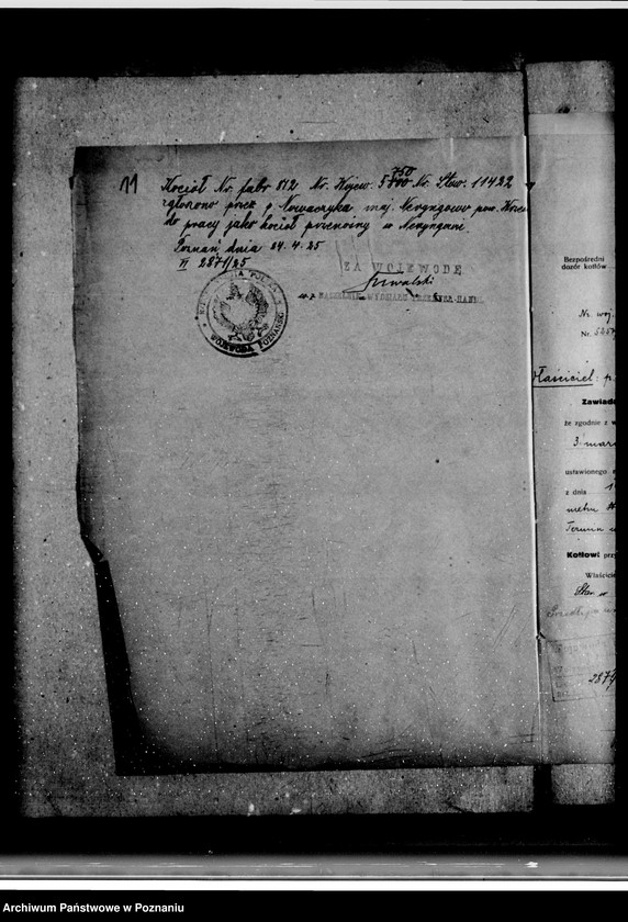 Obraz 15 z jednostki "Majętność Neryngowo powiat wrzesiński własność Nowaczyk nr woj. kotła 5800"