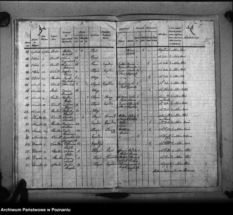 image.from.unit.number "Liber baptisatorum, copulatorum, mortuorum"