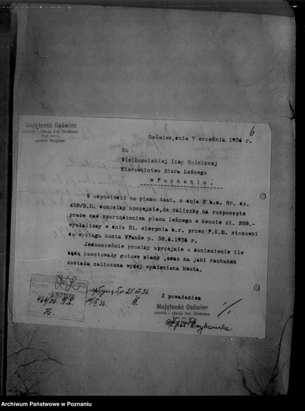 Obraz 10 z jednostki "/Majętność leśna/ Ossowiec/ powiat mogileński"