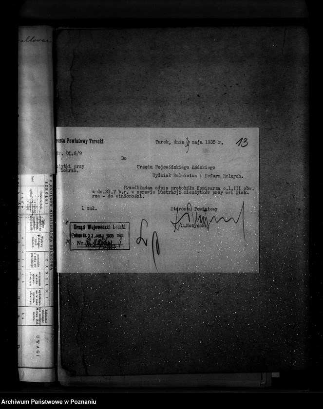 Obraz 17 z jednostki "Zalesienie nieużytków w powiecie tureckim"