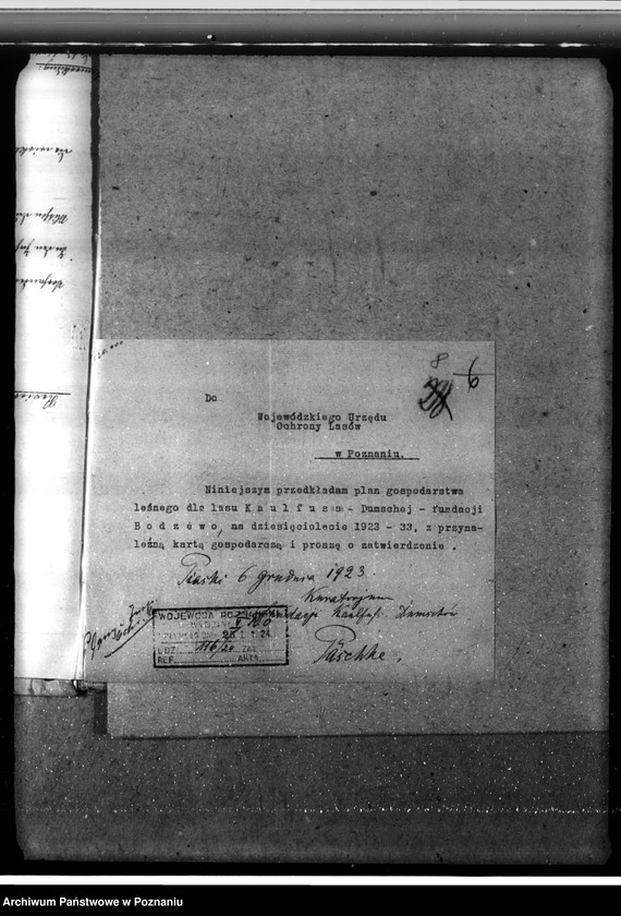 Obraz 12 z jednostki "Las fundacyjny Bodzewo w powiecie gostyńskim"