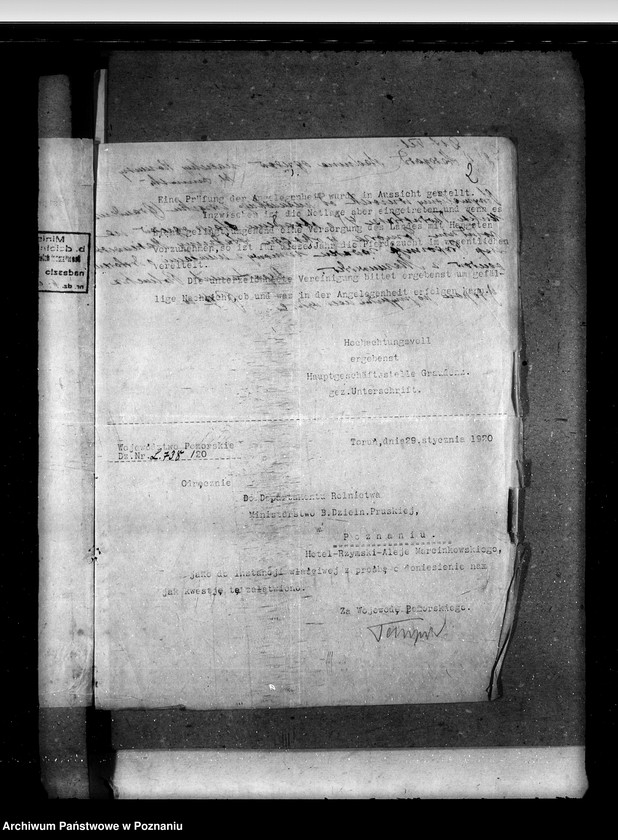 Obraz 6 z jednostki "Zarząd Stadnin Starogard"