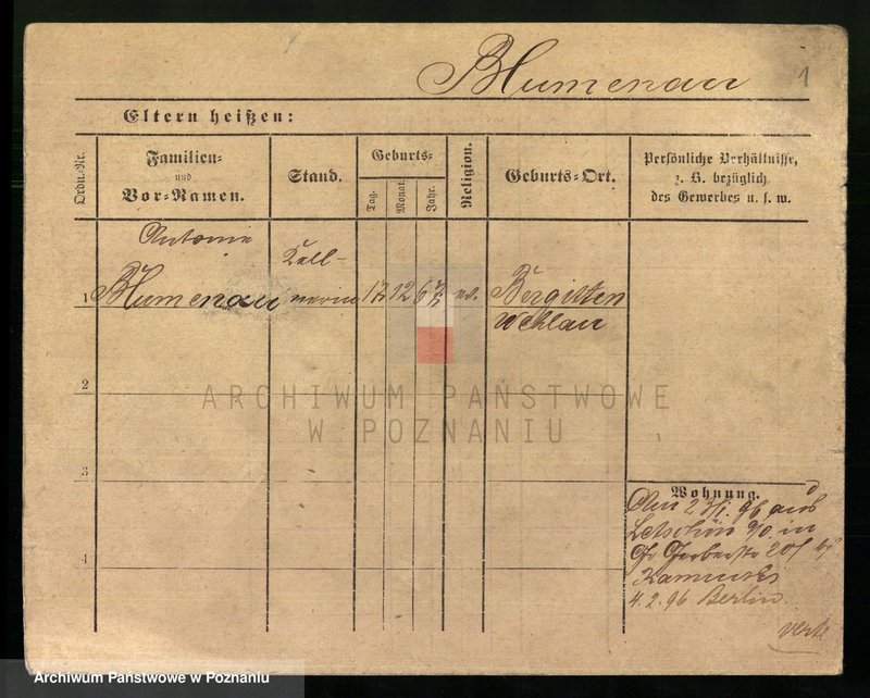 Obraz 3 z jednostki "Blumenau - Boch"