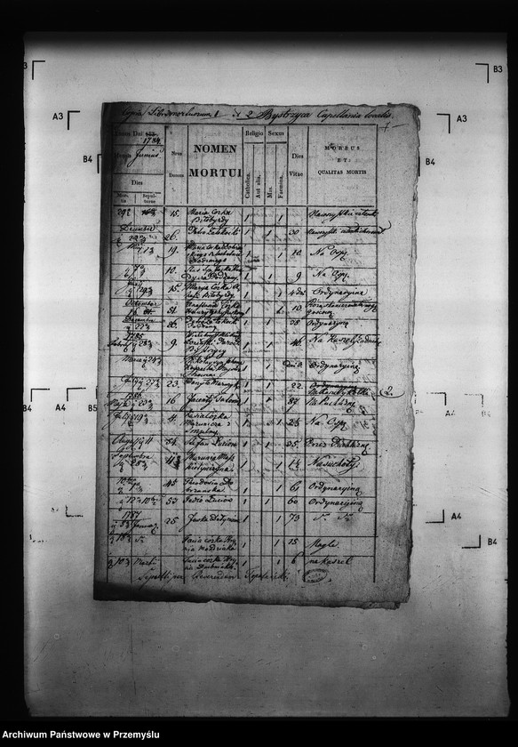 Obraz 10 z jednostki "[Kopie ksiąg metrykalnych parafii Bystrzyca (dekanat Podbuż)]"