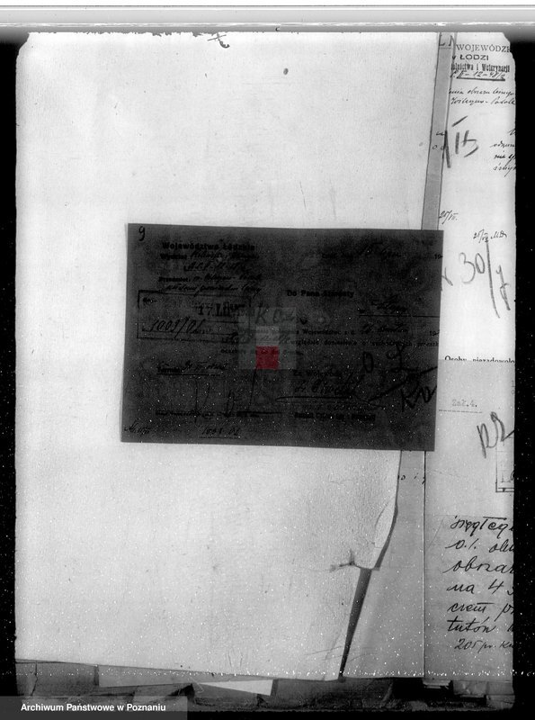 Obraz 14 z jednostki "Ustalenie powierzchni leśnej majątku Wilczyno-Podole powiat słupecki oraz nieprawne wyręby lasu"