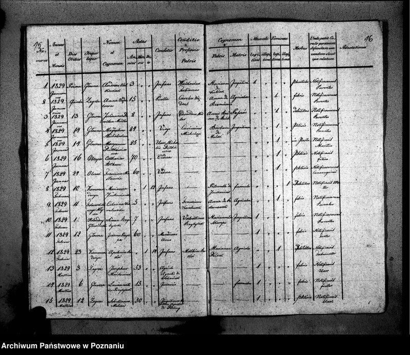 Obraz 13 z jednostki "Duplikat libri baptisatorum, copulatorum, mortuorum"