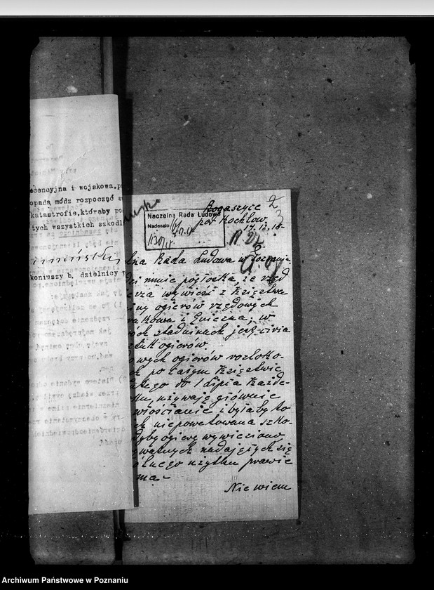 Obraz 7 z jednostki "Sprawy ogólne stadnin"