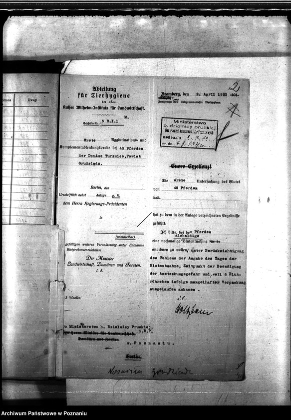 Obraz 6 z jednostki "Nosacizna - Grudziądz"