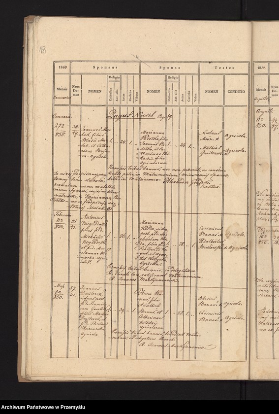 Obraz 20 z jednostki "[Kopie ksiąg metrykalnych urodzeń, małżeństw i zgonów parafii Narol za rok 1850]"