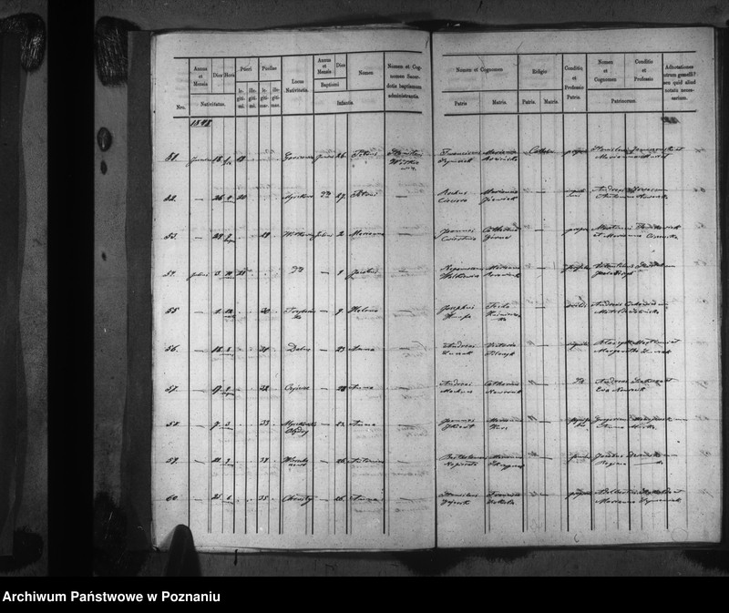 image.from.unit.number "Liber baptisatorum"