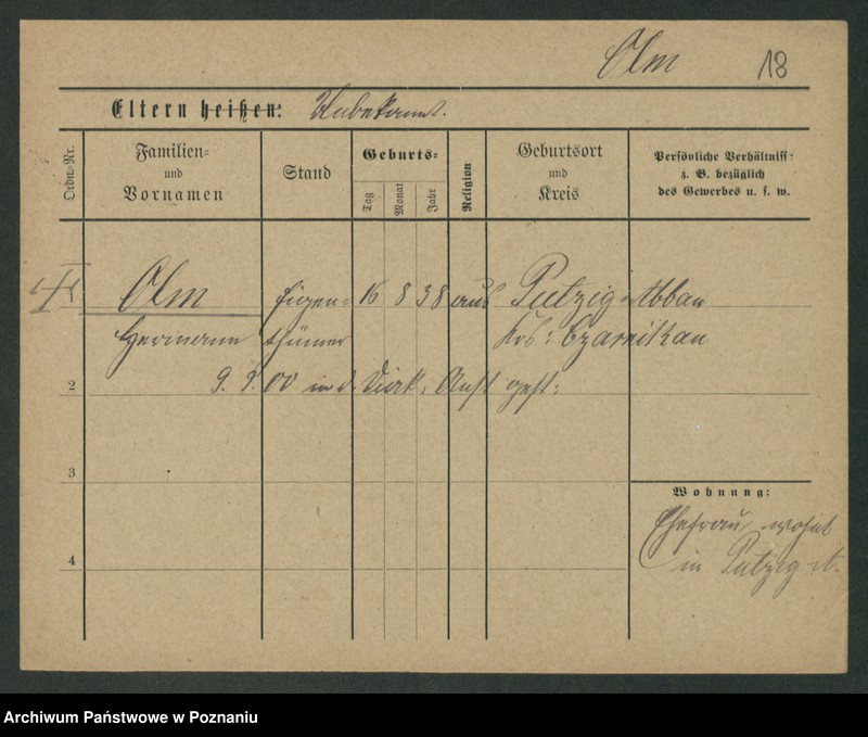 Obraz 20 z jednostki "Olk - Olszewski"